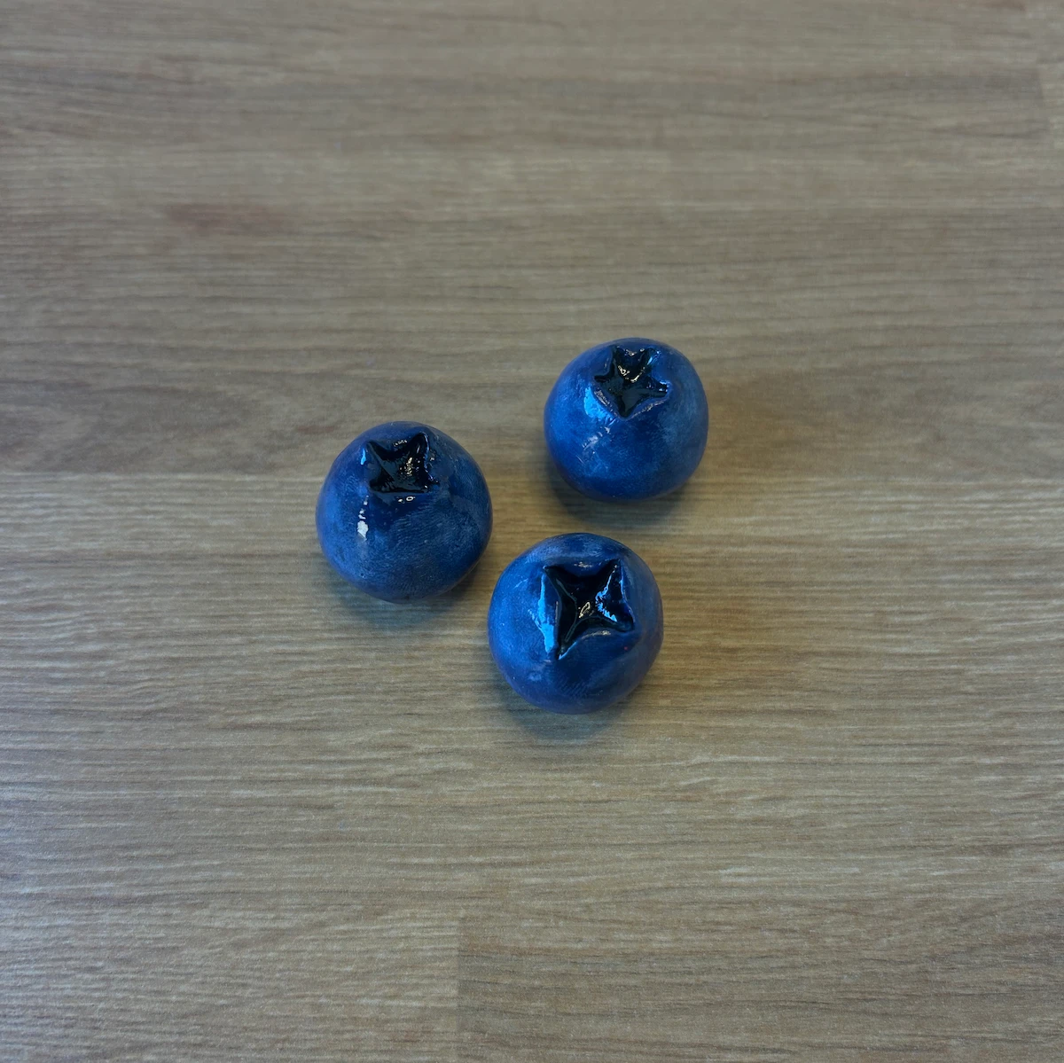 מגנטי אוכמניות – תמונה 3