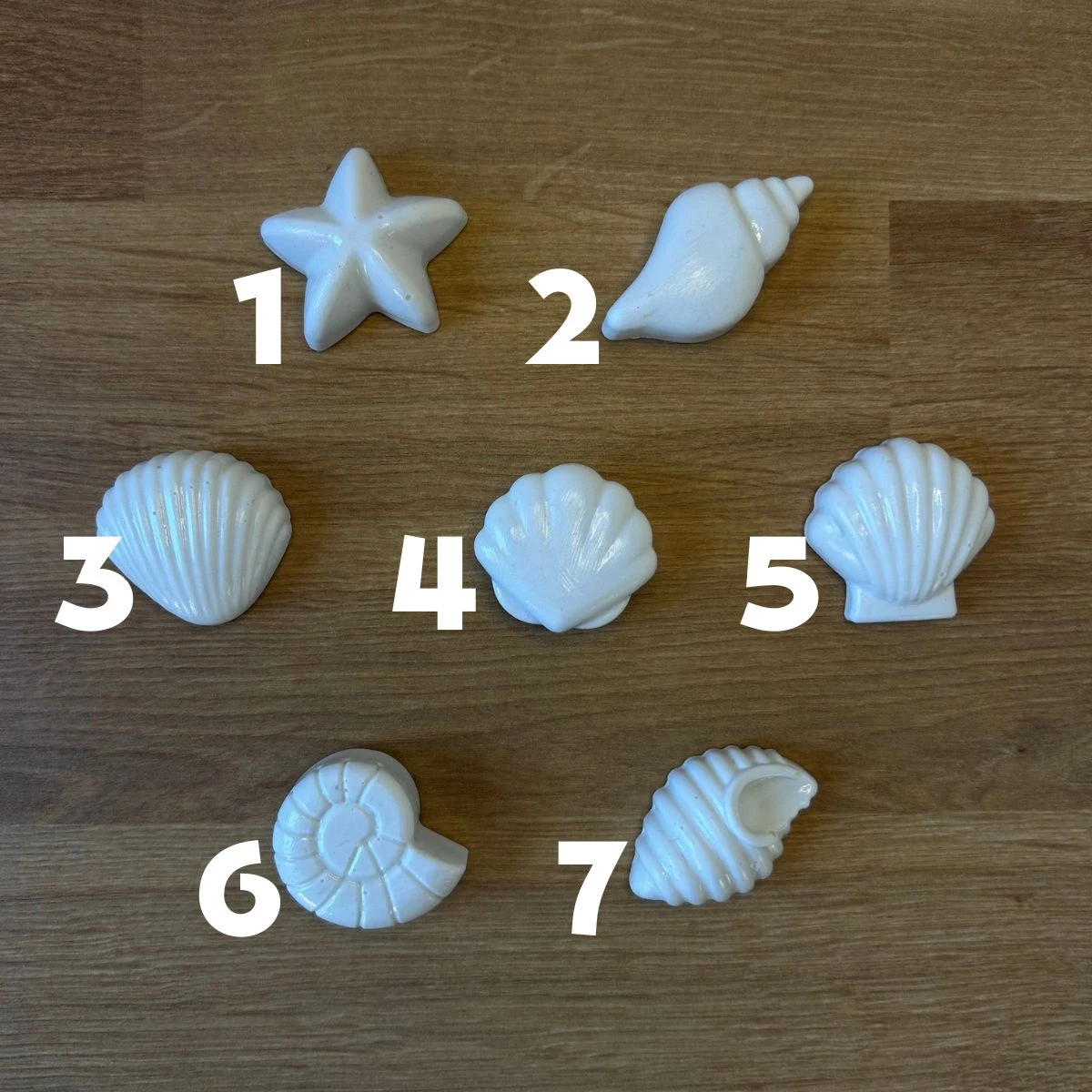 חיסול מגנטי קיץ