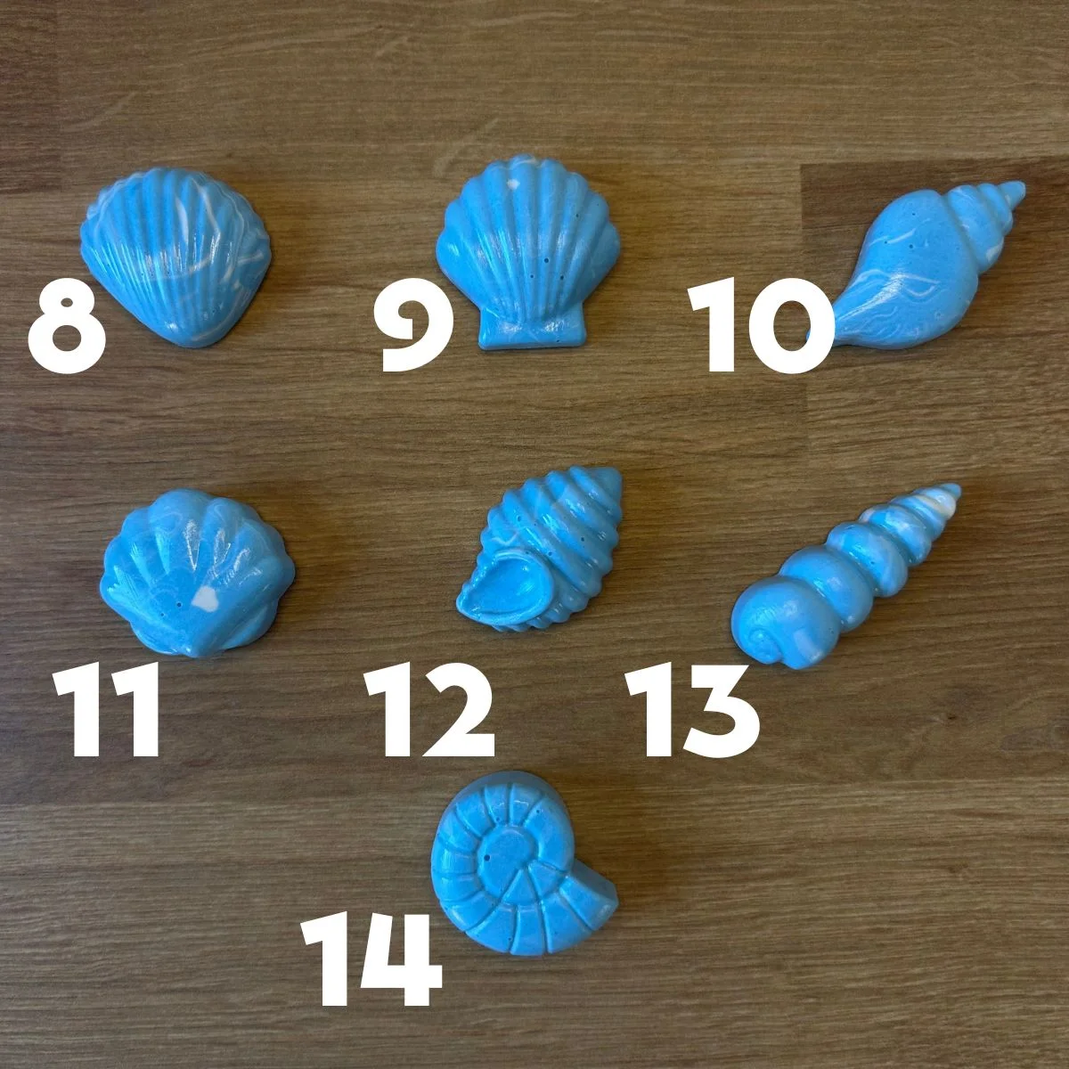 חיסול מגנטי קיץ – תמונה 4